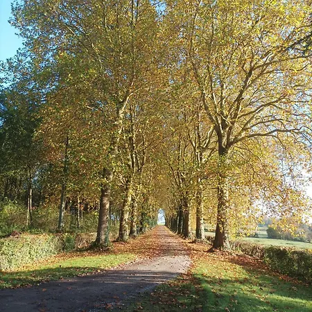 Chateau D'hugemont- Aile Du Parc 度假居 Dompierre-Sur-Helpe
